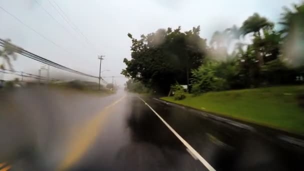 Kıyı sürücü Tropikal Siklon Hilo — Stok video