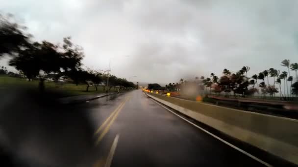 Rijd Tropical Cyclone Hilo Highway — Stockvideo