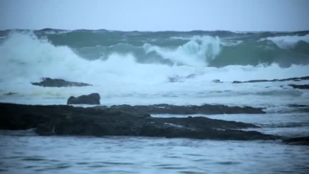 Tropical Hurricane Iselle Hawaiian Islands — Stock Video