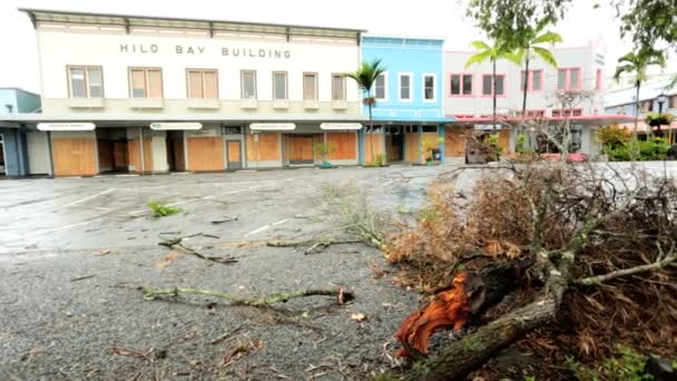 Hilo Innenstadt beschädigt Tropensturm — Stockvideo