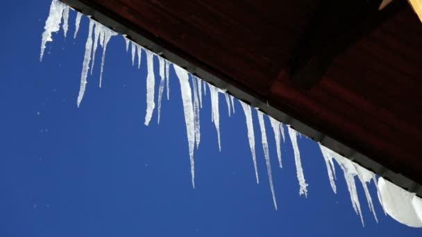 Melting icicles hanging from roof overhang — Stock Video