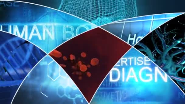 3D Montage Medical Science Motion Graphics — Wideo stockowe