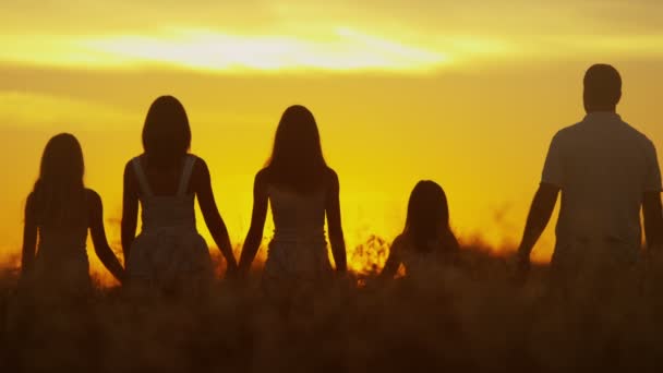 Parents avec leurs filles dans la prairie au coucher du soleil — Video