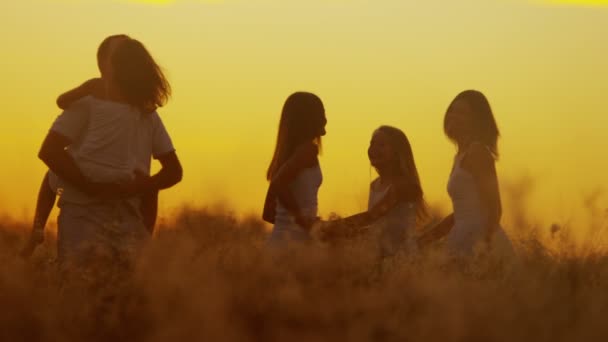 Padres con hijas en el prado al atardecer — Vídeo de stock