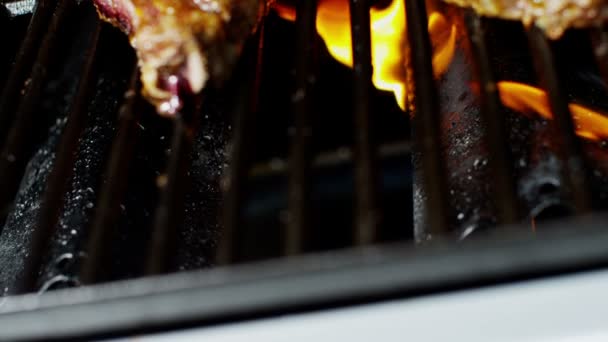 Organické zdravého života nízké tuku plamen gril hovězí T-Bone Steak Bbq jídlo možnost — Stock video