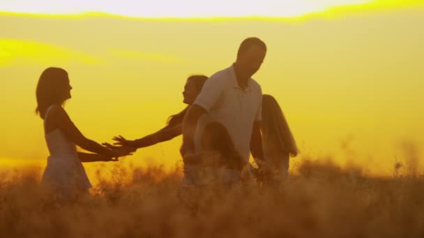 Pais com filhas no prado ao pôr do sol — Vídeo de Stock