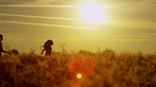 Chicas divertirse al aire libre en el campo — Vídeo de stock