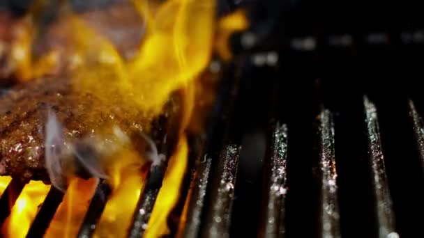 Oksekød burgere på flamme grill – Stock-video