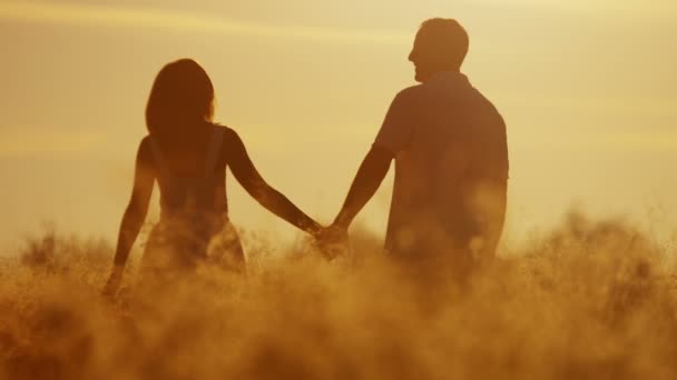 Älskande par gå på ängen vid solnedgången — Stockvideo