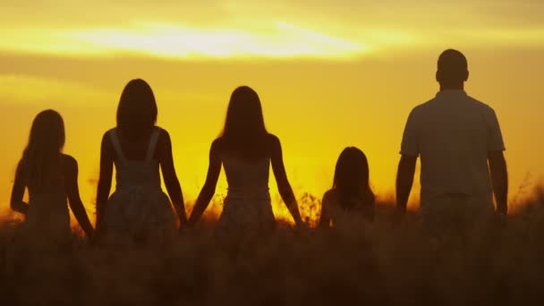 Parents avec leurs filles dans la prairie au coucher du soleil — Video