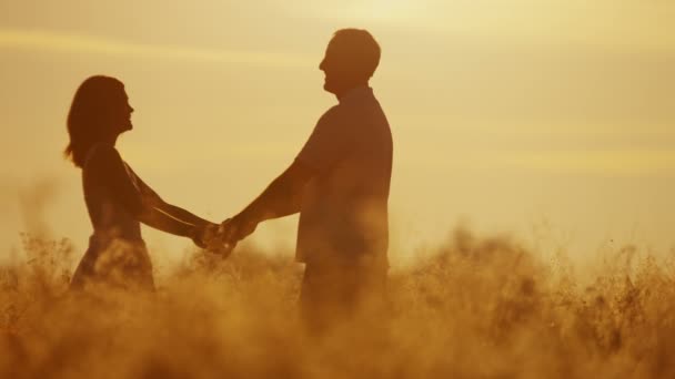 Älskande par gå på ängen vid solnedgången — Stockvideo