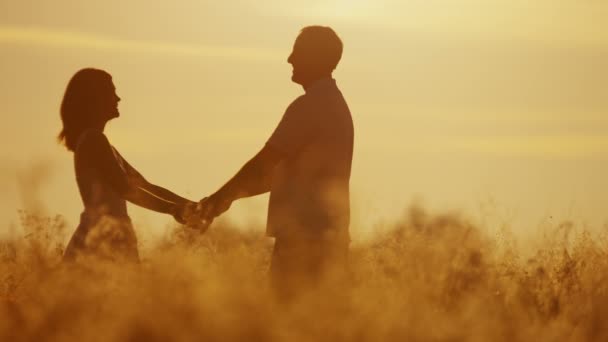 Pareja amorosa caminando en el prado al atardecer — Vídeos de Stock