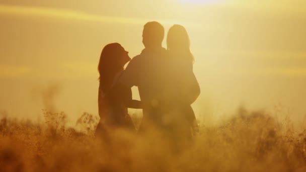 Ouders met dochter lopen op weide — Stockvideo