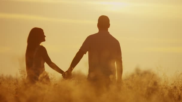 Loving couple walking on meadow at sunset — Stock Video