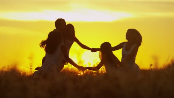 Parents with daughters on meadow at sunset — Stock Video