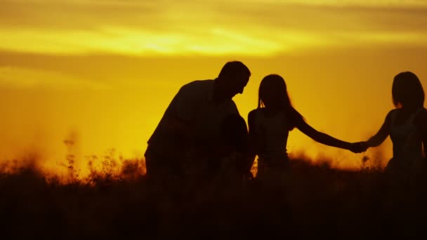 Eltern mit Töchtern auf der Wiese bei Sonnenuntergang — Stockvideo