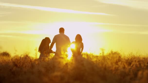 Pais com filhas no prado ao pôr do sol — Vídeo de Stock