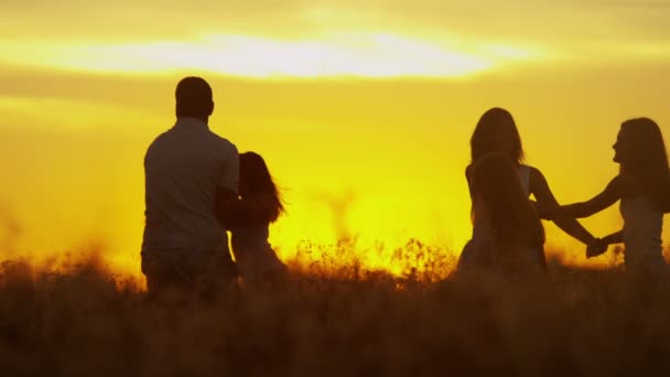 Pais com filhas no prado ao pôr do sol — Vídeo de Stock