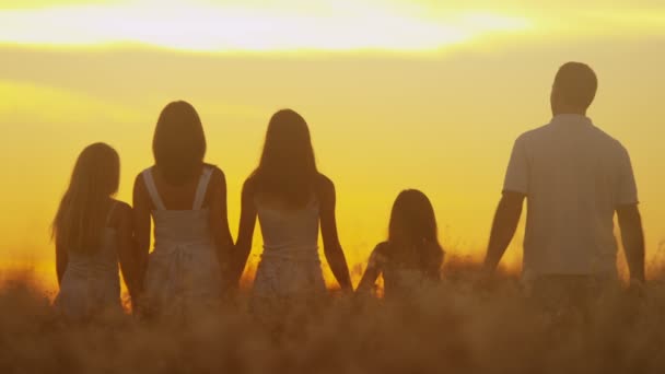 Parents avec leurs filles dans la prairie au coucher du soleil — Video