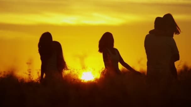 Parents avec leurs filles dans la prairie au coucher du soleil — Video