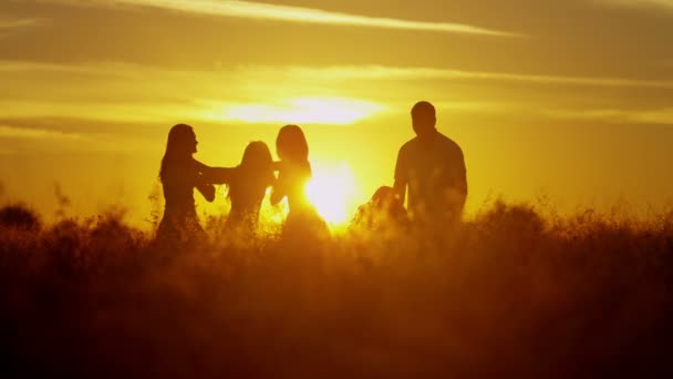 Pais com filhas no prado ao pôr do sol — Vídeo de Stock