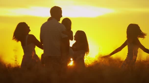 Pais com filhas no prado ao pôr do sol — Vídeo de Stock