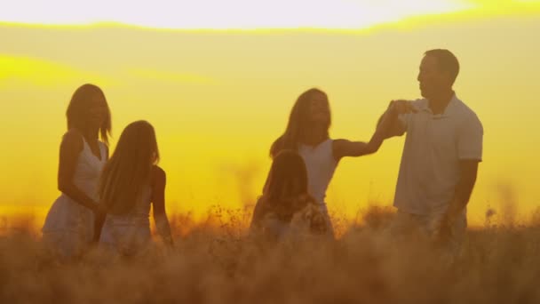 Padres con hijas en el prado al atardecer — Vídeo de stock