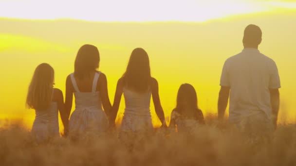 Parents avec leurs filles dans la prairie au coucher du soleil — Video