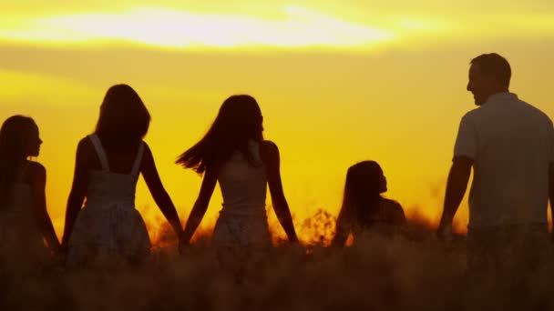 Parents avec filles s'amuser sur prairie — Video