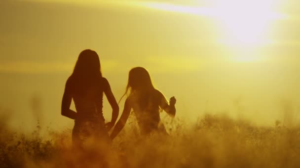 Дівчата розважаються на відкритому повітрі в полі — стокове відео