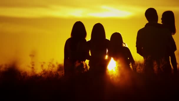 Parents with daughters on meadow at sunset — Stock Video