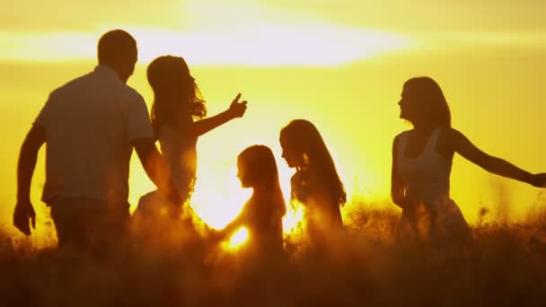 Pais com filhas no prado ao pôr do sol — Vídeo de Stock