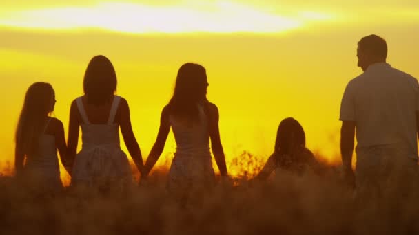 Parents avec leurs filles dans la prairie au coucher du soleil — Video