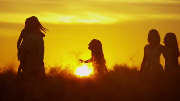 父母带着女儿在日落时的草地上 — 图库视频影像