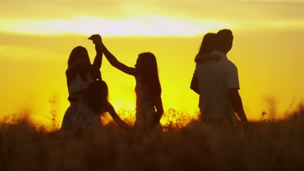 Pais com filhas no prado ao pôr do sol — Vídeo de Stock