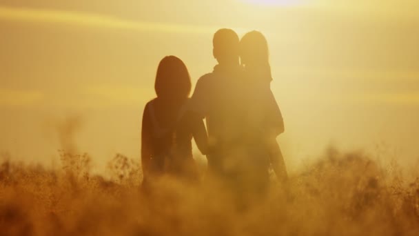 Padres con hija caminando en el prado — Vídeo de stock