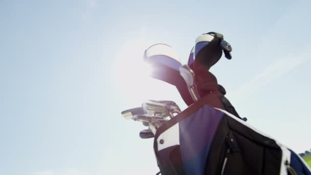 专业男性高尔夫选手 — 图库视频影像