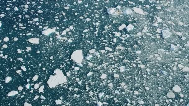 Flocos de Gelo da Gronelândia — Vídeo de Stock