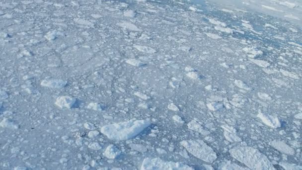 Glaciers Frozen Mass Disko Bay Greenland — Stock Video