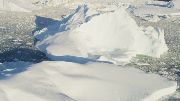 Geleiras Massa congelada Disko Bay Groenlândia — Vídeo de Stock