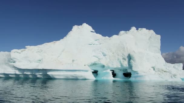 Ilulissat icefjord disko bay grönland — Stockvideo