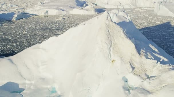 Treibende Eisschollen Grönland — Stockvideo