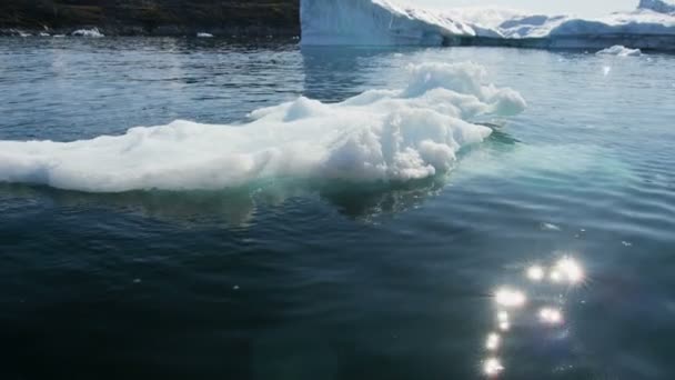 Treibender Gletschereisberg gefrorenes Wasser — Stockvideo