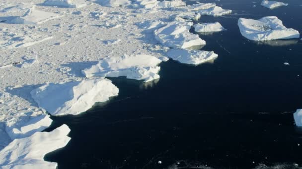 Pisos de hielo aéreos a la deriva Groenlandia — Vídeo de stock