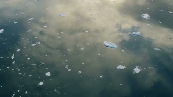 Glacial frozen water Disko Bay Greenland — Stock Video