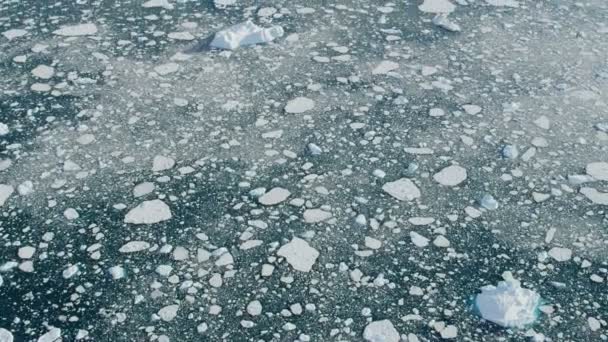 Disko Bay Grónsko plovoucí ledová hmotnost — Stock video