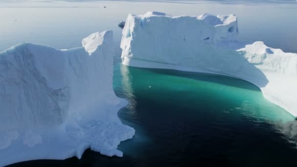 Drifting ice floes Groenland — Stockvideo