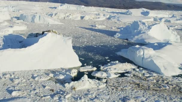 Groenland Arctic Ice Floes — Stockvideo