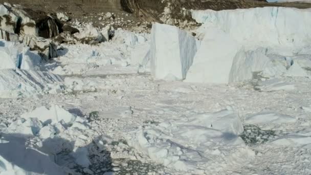 Eqi Glacier Greenland Melting Icecap — Stock Video