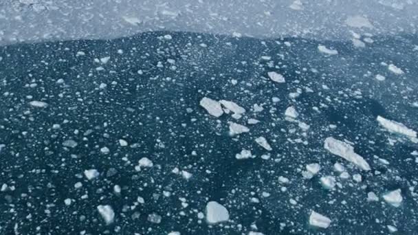 Disko Bay Grenlandia pływająca masa lodu — Wideo stockowe